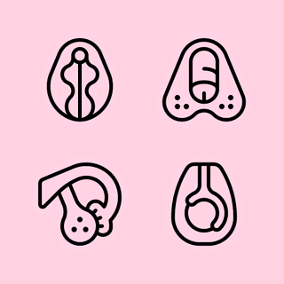 human-body-icons-sex-2015